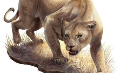 Katapesh-i oroszlánok – Pathfinder 2E