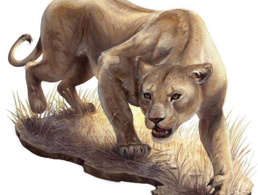 Katapesh-i oroszlánok – Pathfinder 2E