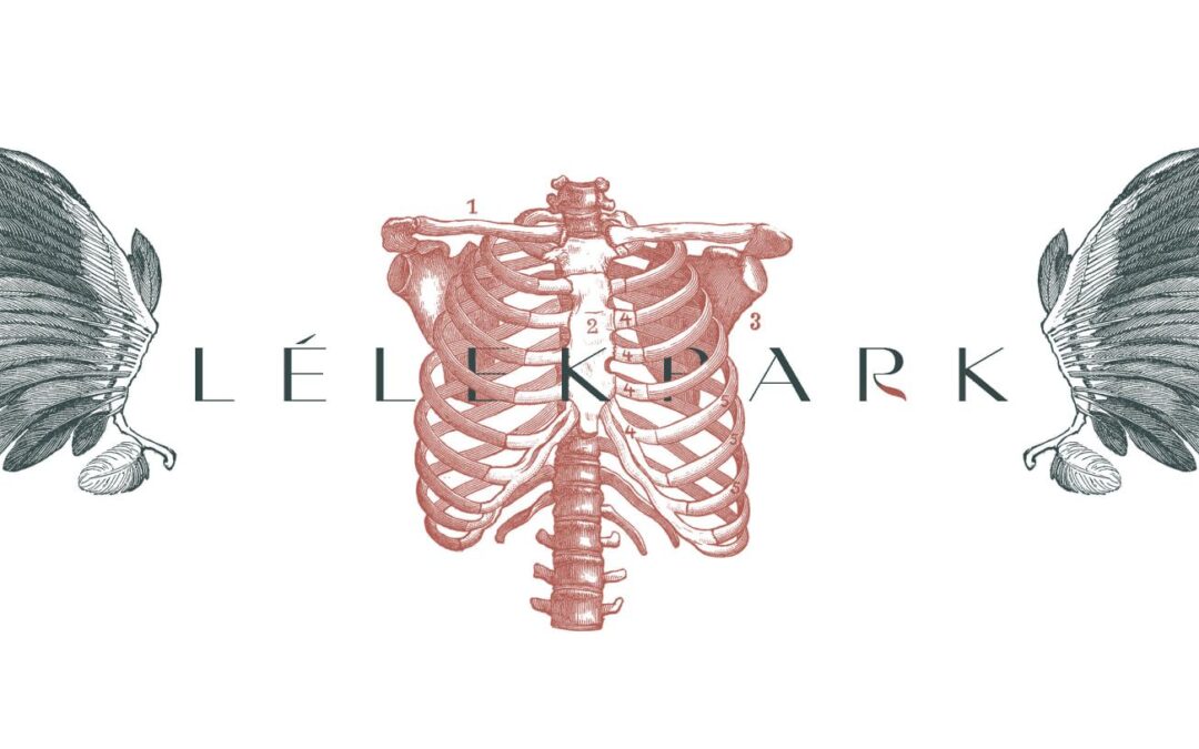 Lélekpark – KULT – Divinity Lost